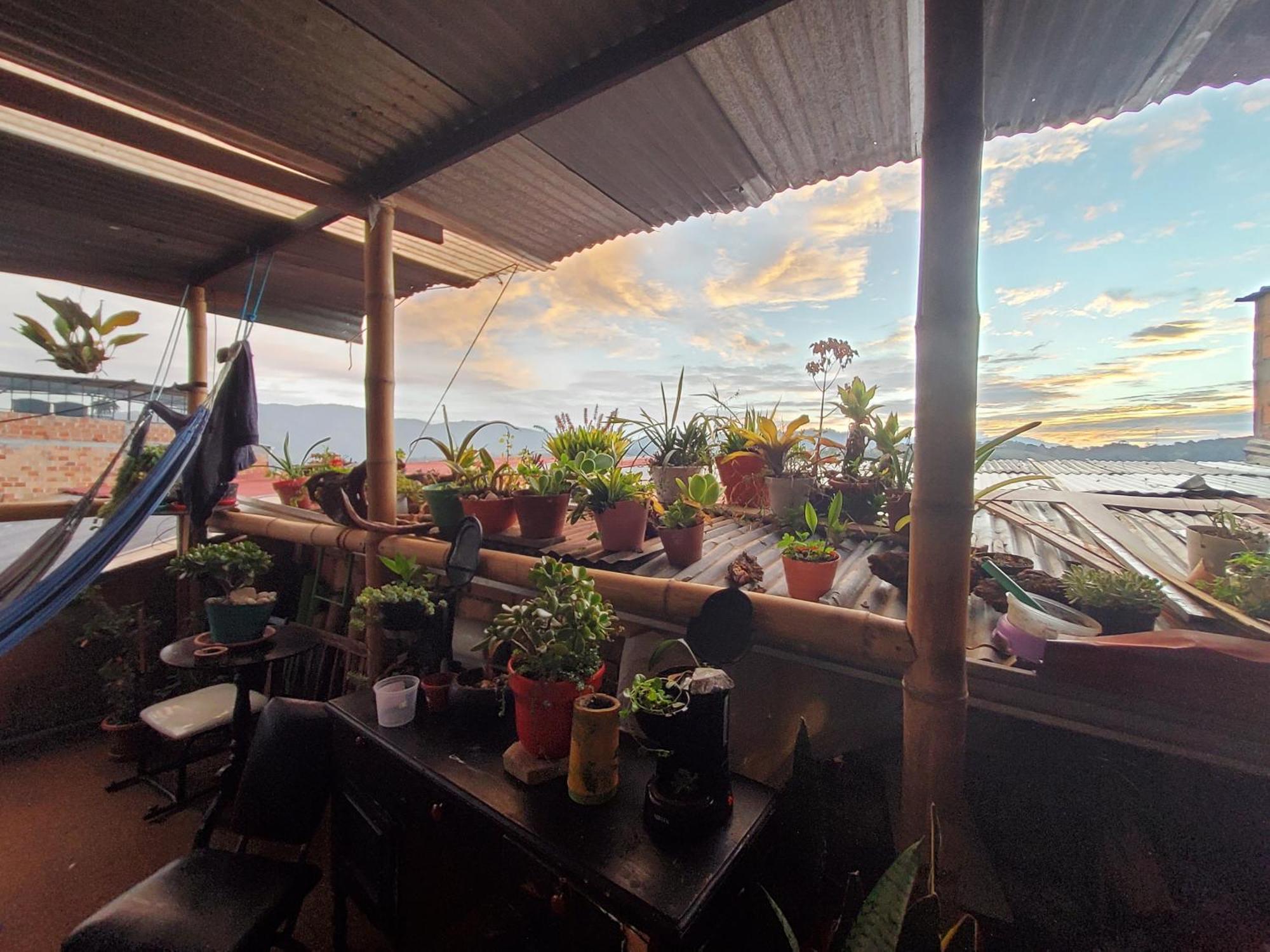 Hostal Musica Y Arte San Agustín Екстериор снимка